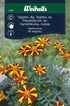 Tagetes
