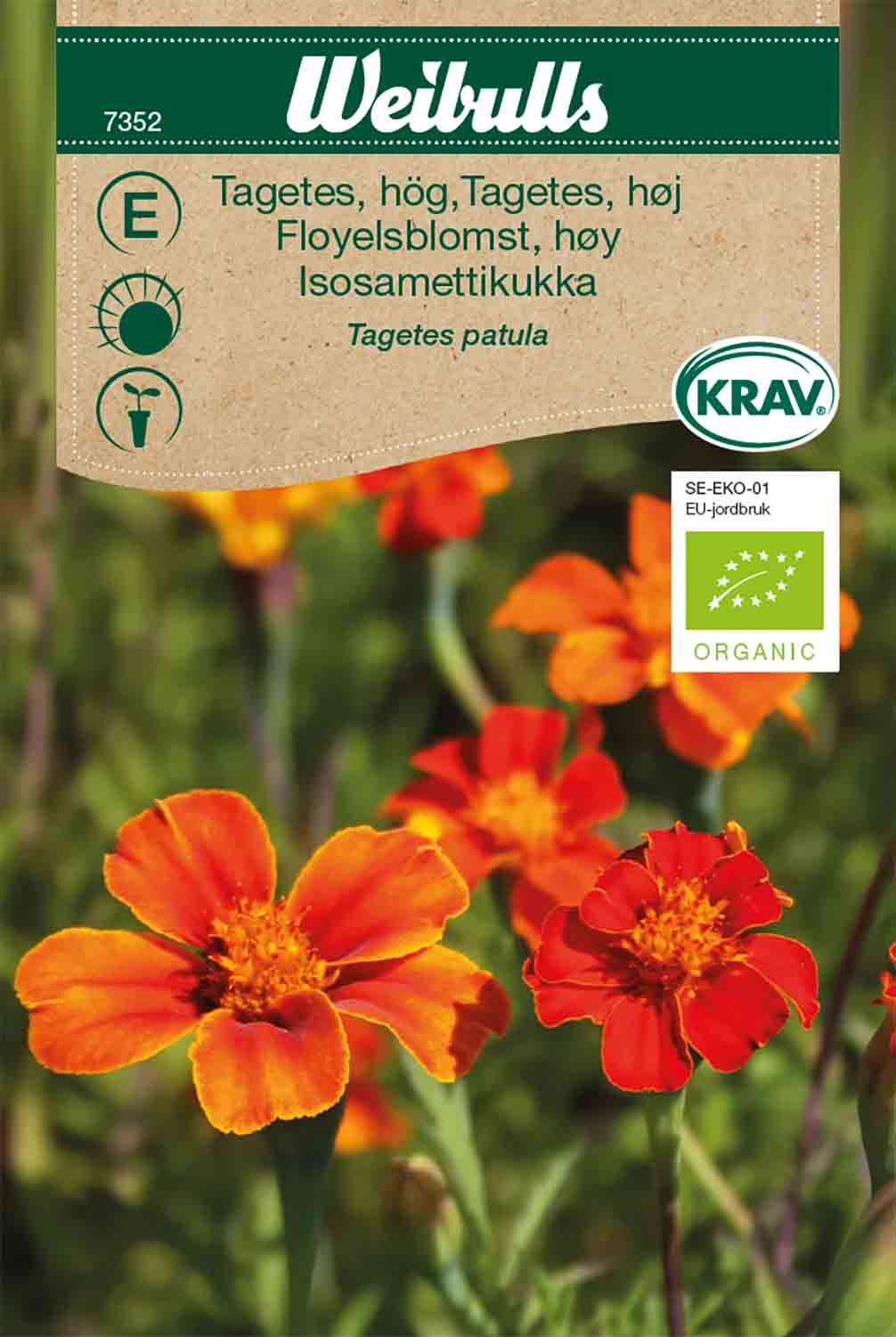 Tagetes KRAV hög