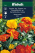 Tagetes låg