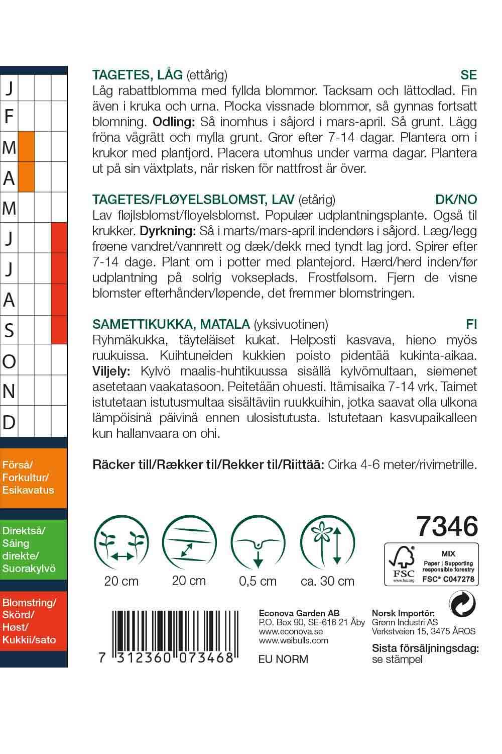 Tagetes låg