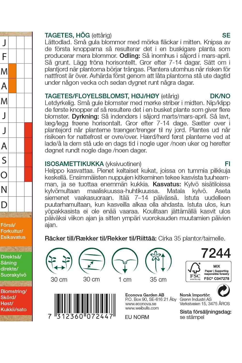 Tagetes låg KRAV småblommande
