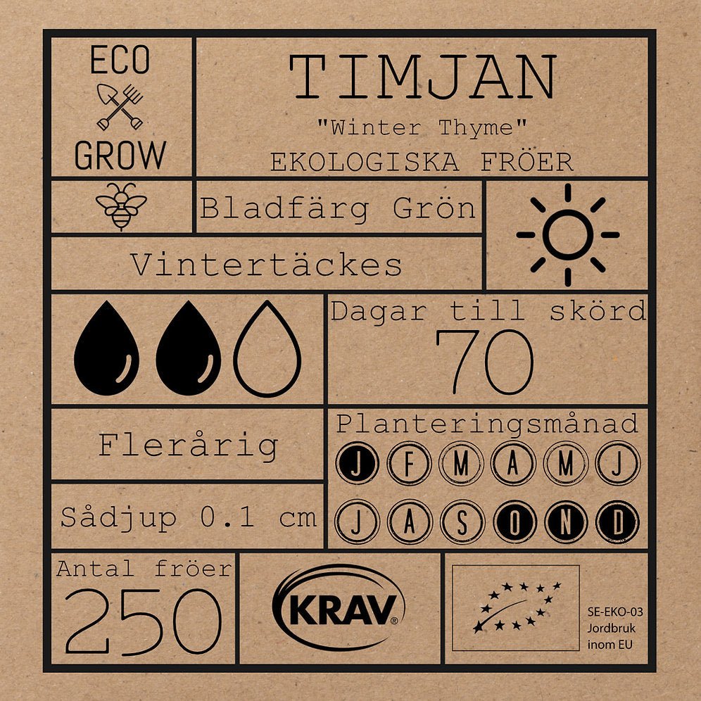 Timjan