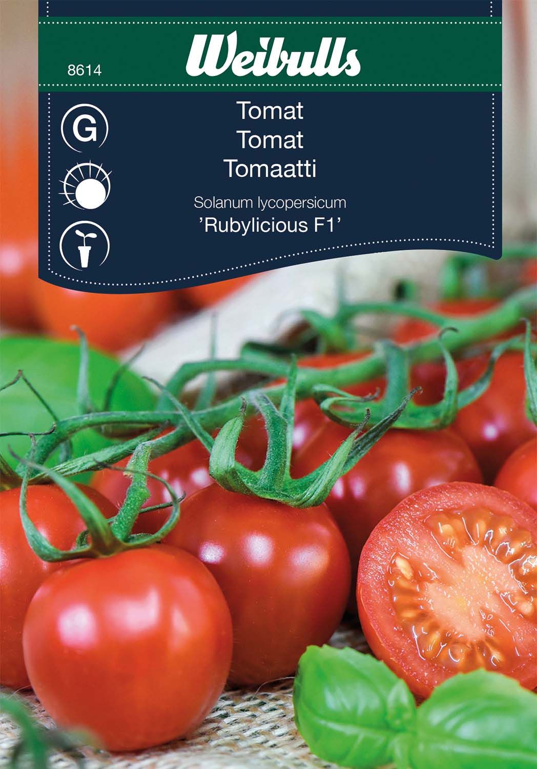 Tomat