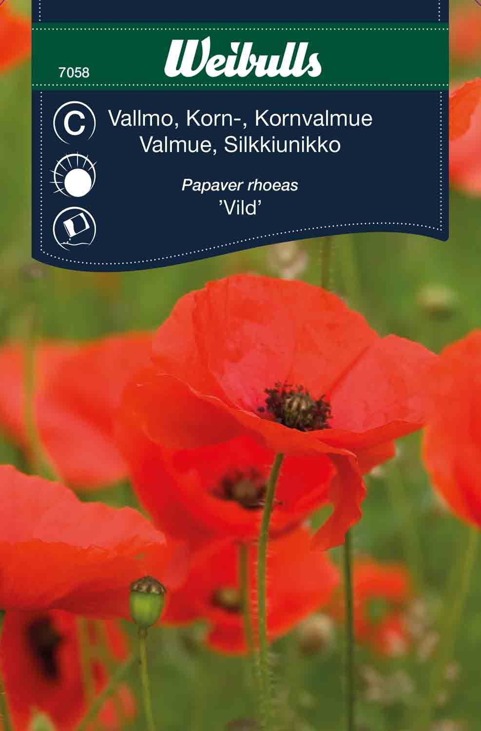 Vallmo, Korn röd vild