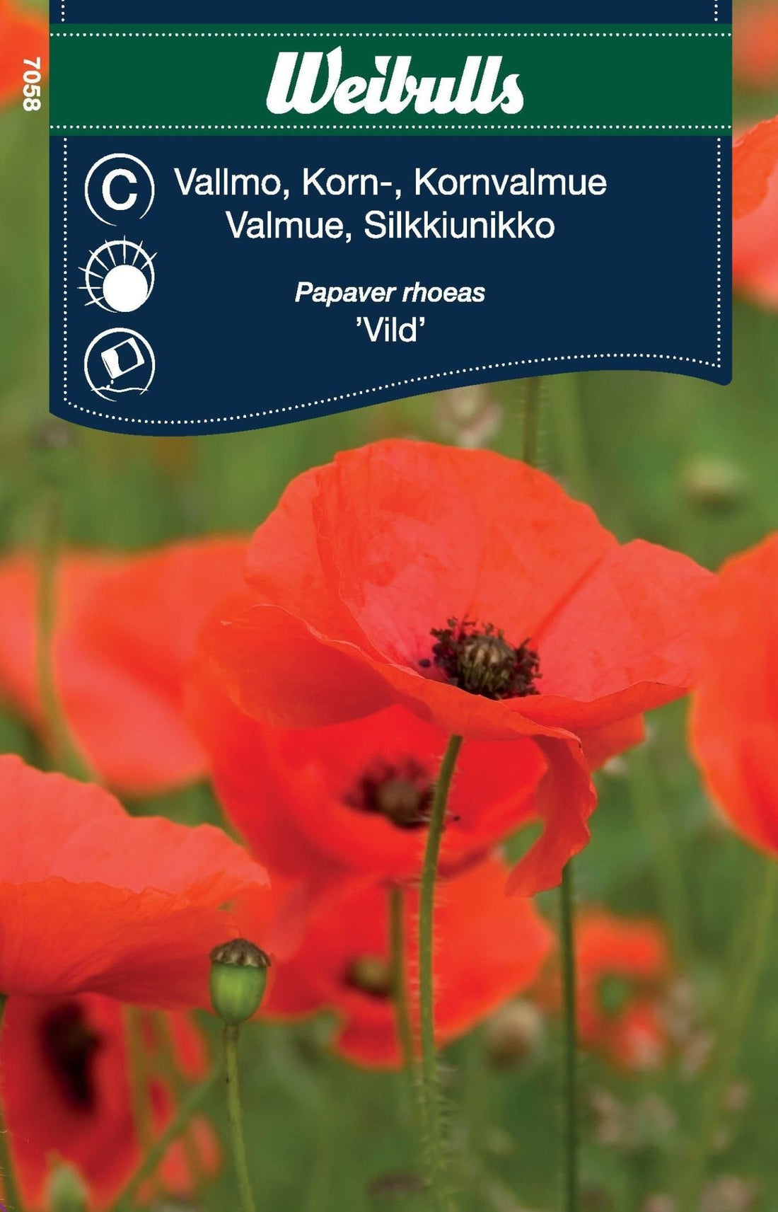 Vallmo, Korn röd vild