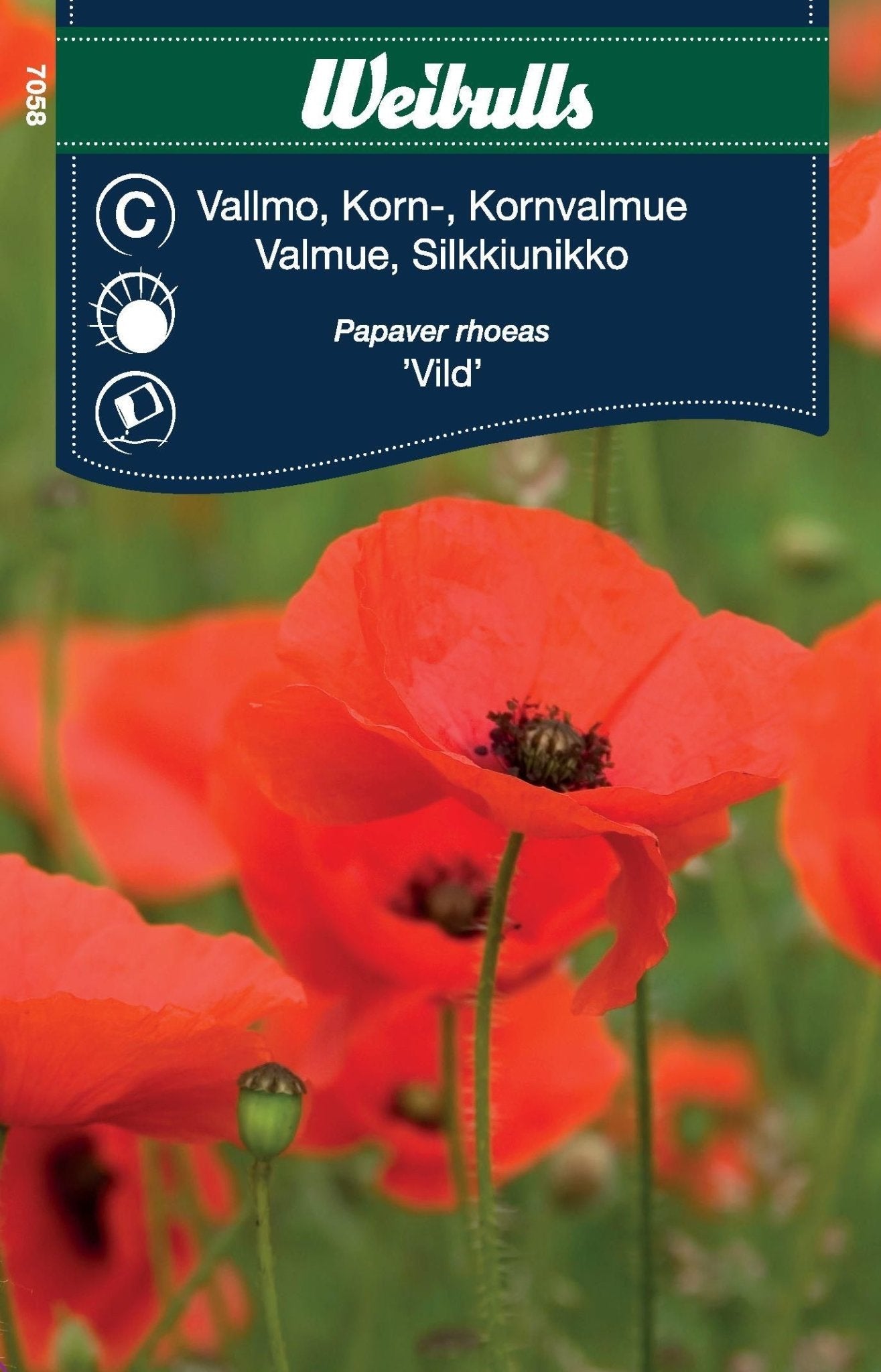 Vallmo, Korn röd vild