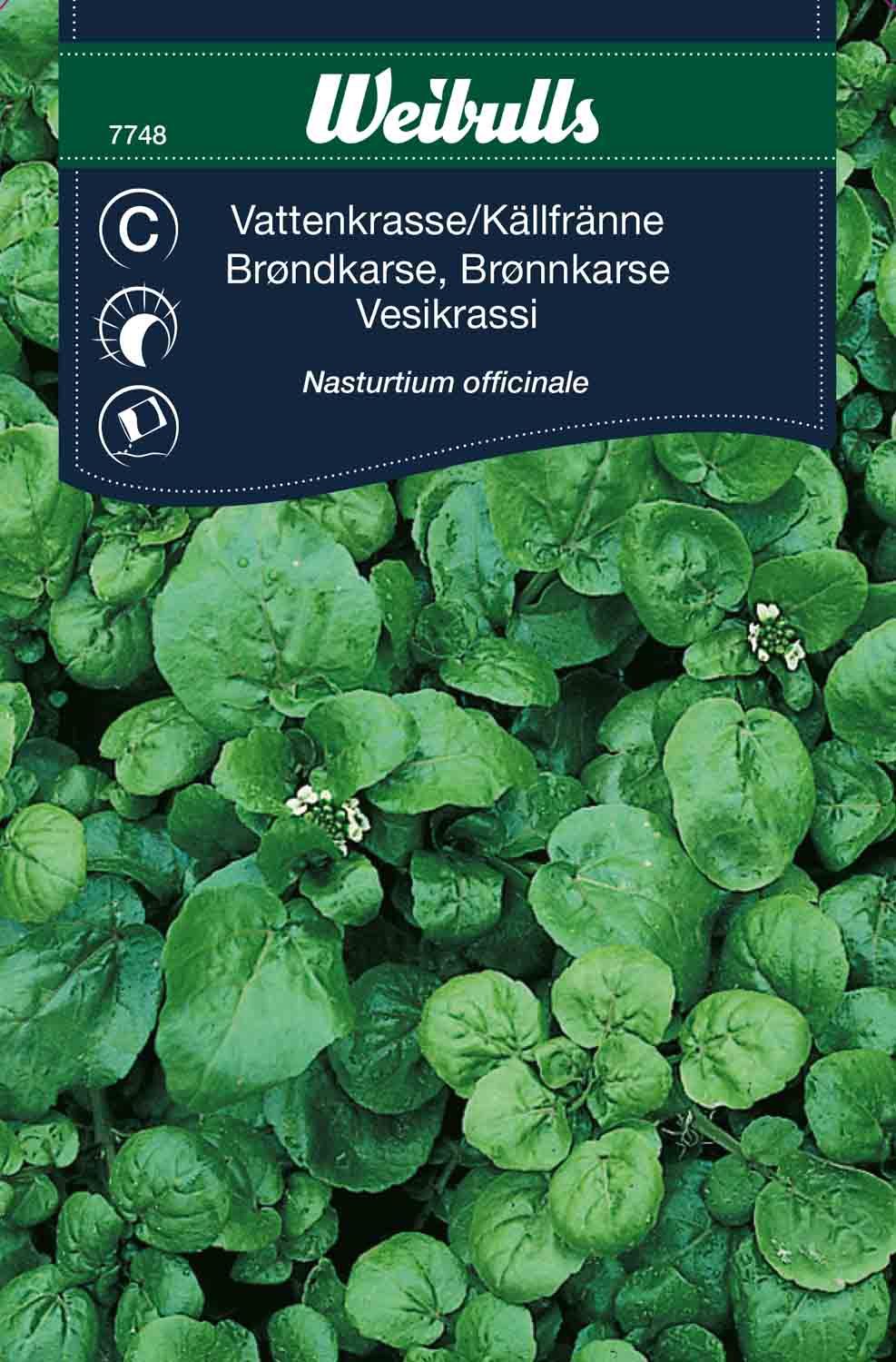 Vattenkrasse/Källfränne