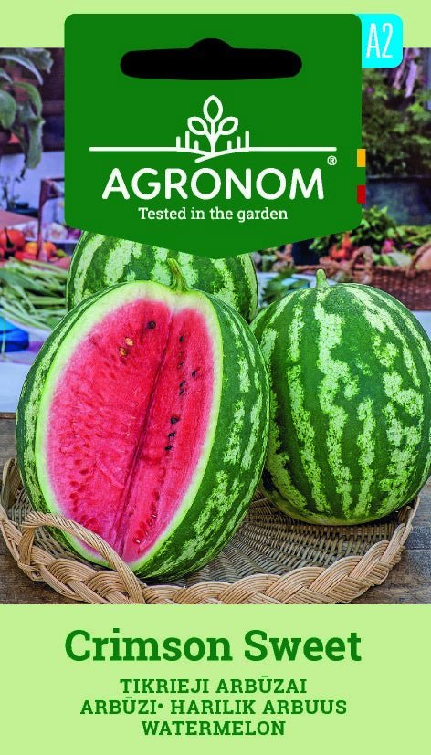 Vattenmelon