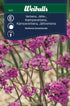 Verbena, jätte