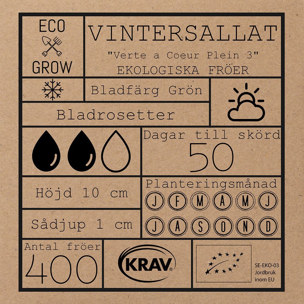 Vintersallat