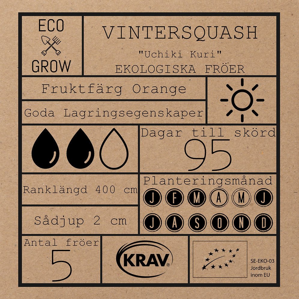 Vintersquash