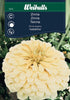 Zinnia