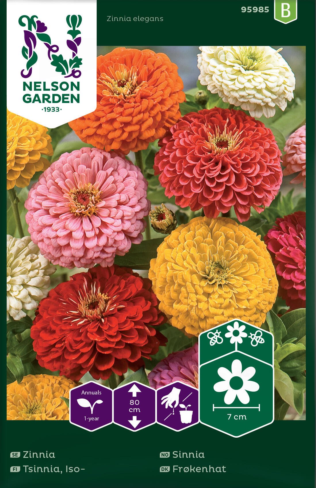 Zinnia
