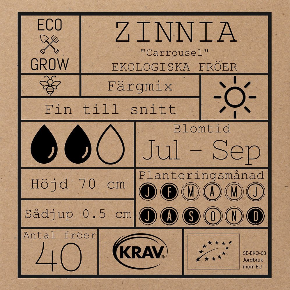 Zinnia