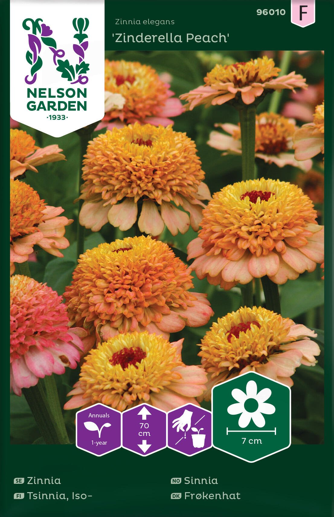 Zinnia