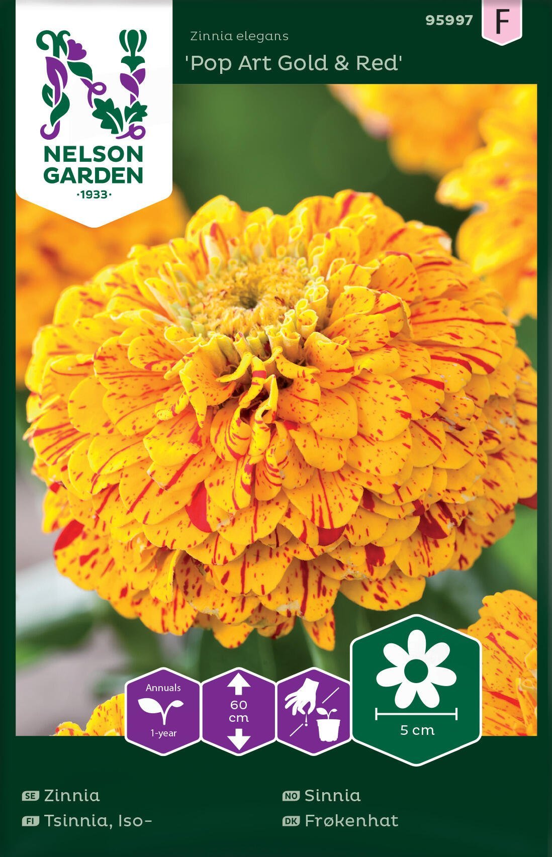 Zinnia