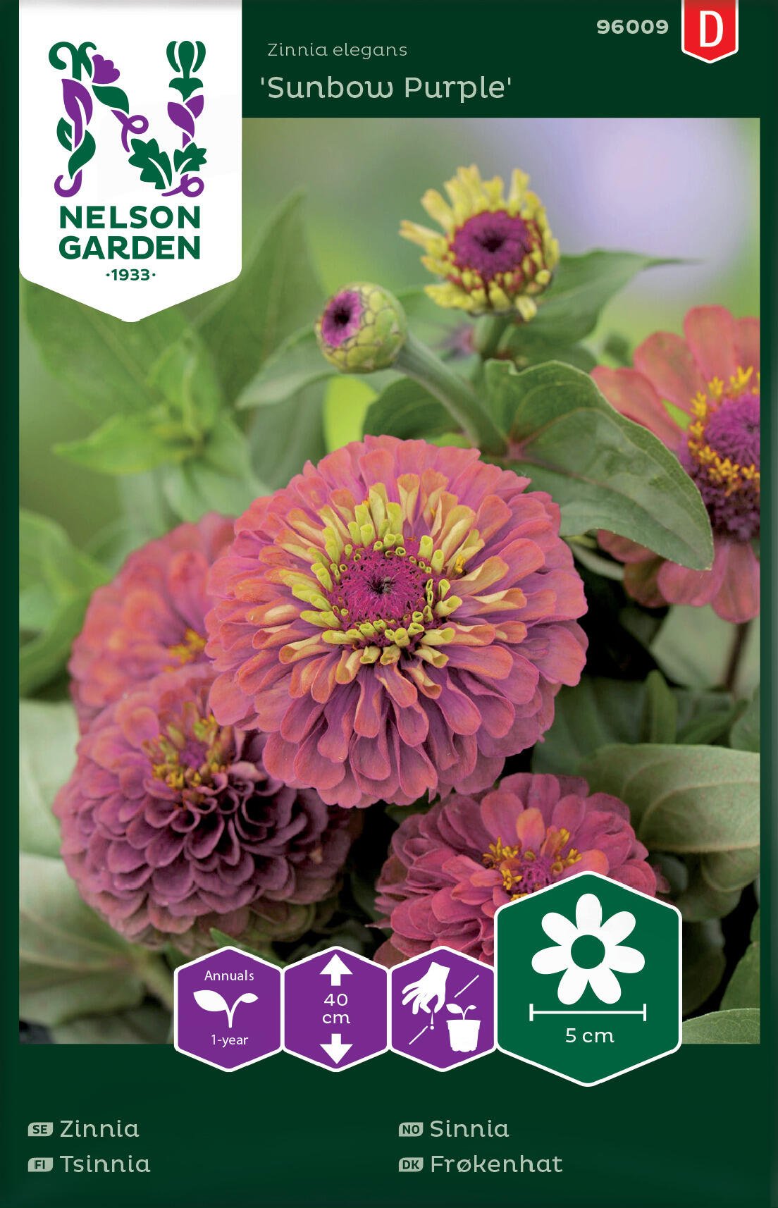 Zinnia