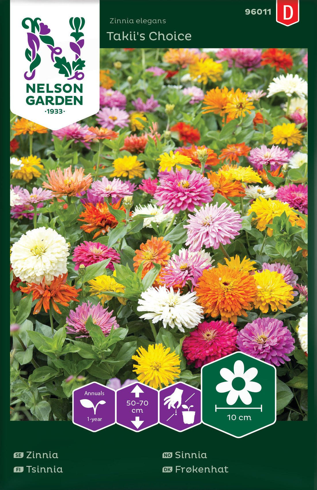 Zinnia