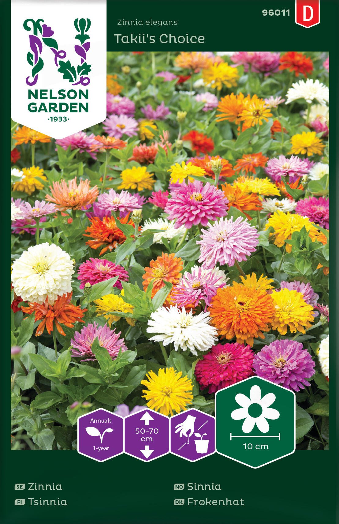 Zinnia