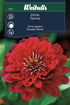 Zinnia Elegans dahliablommande