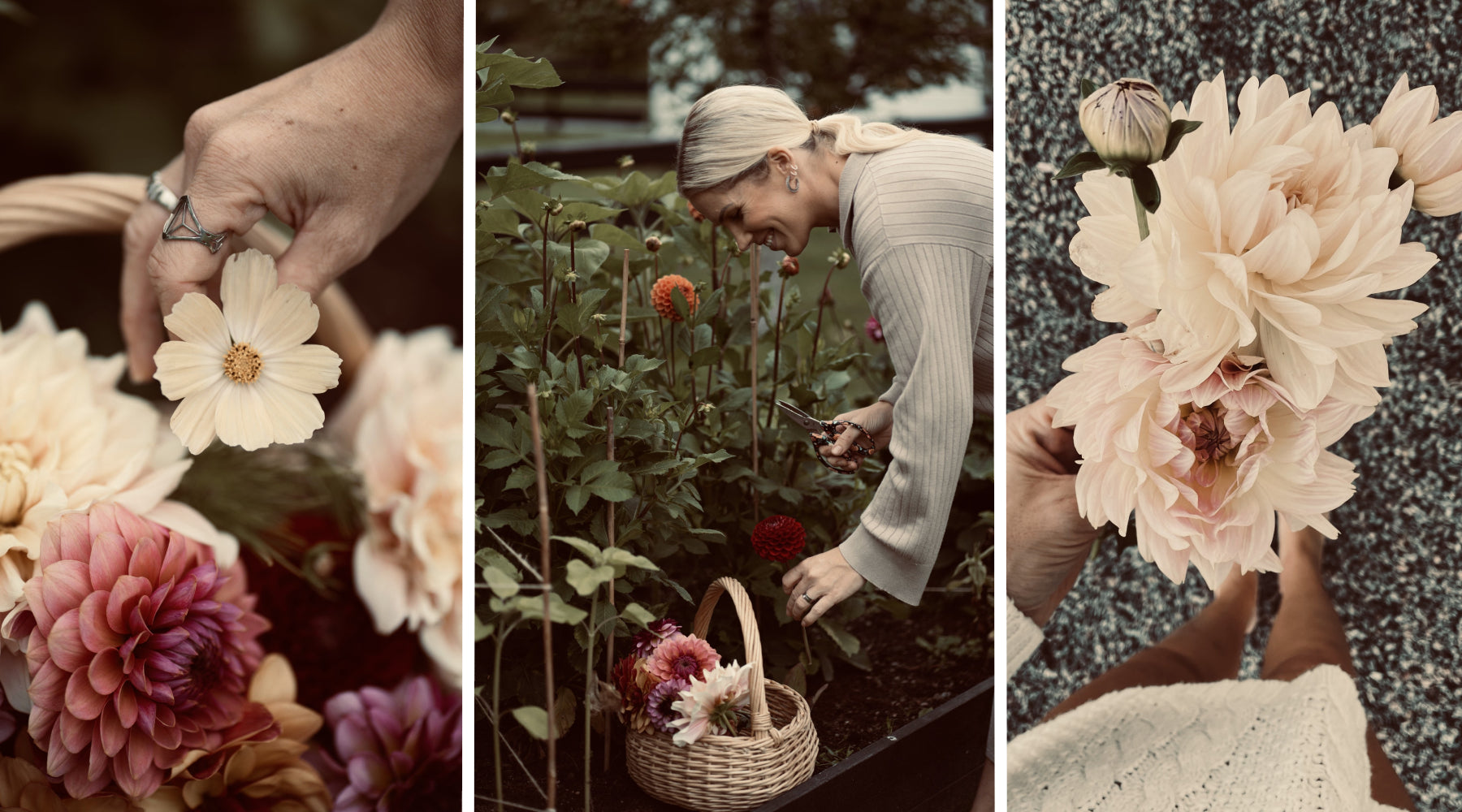 Bladverket träffar Skolvägens Flora