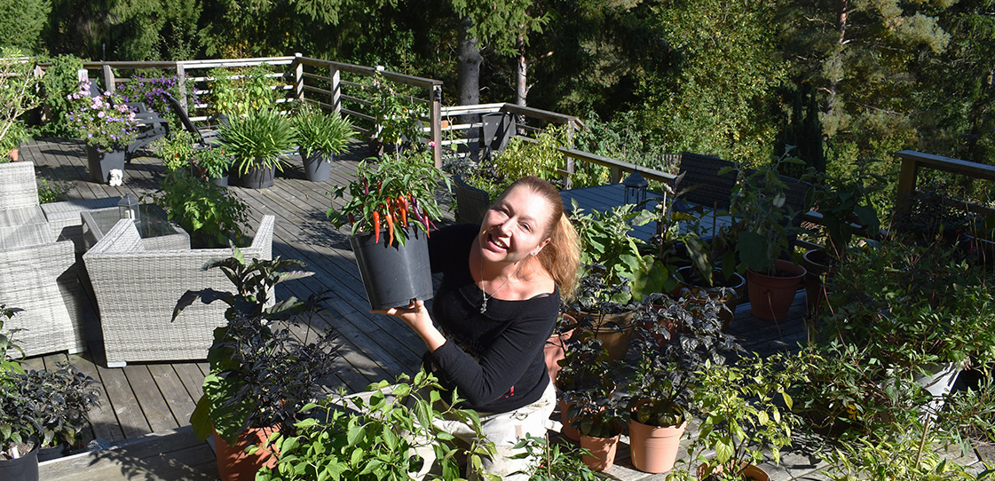 Bladverket träffar Camillas Trädgård