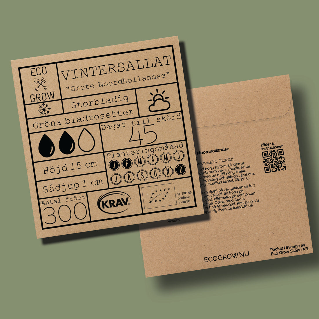Vintersallat