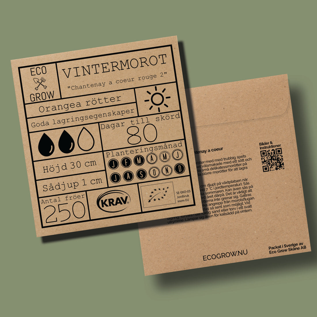 Vintermorot