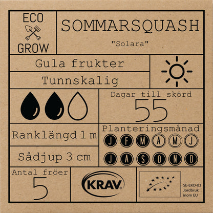 Sommarsquash