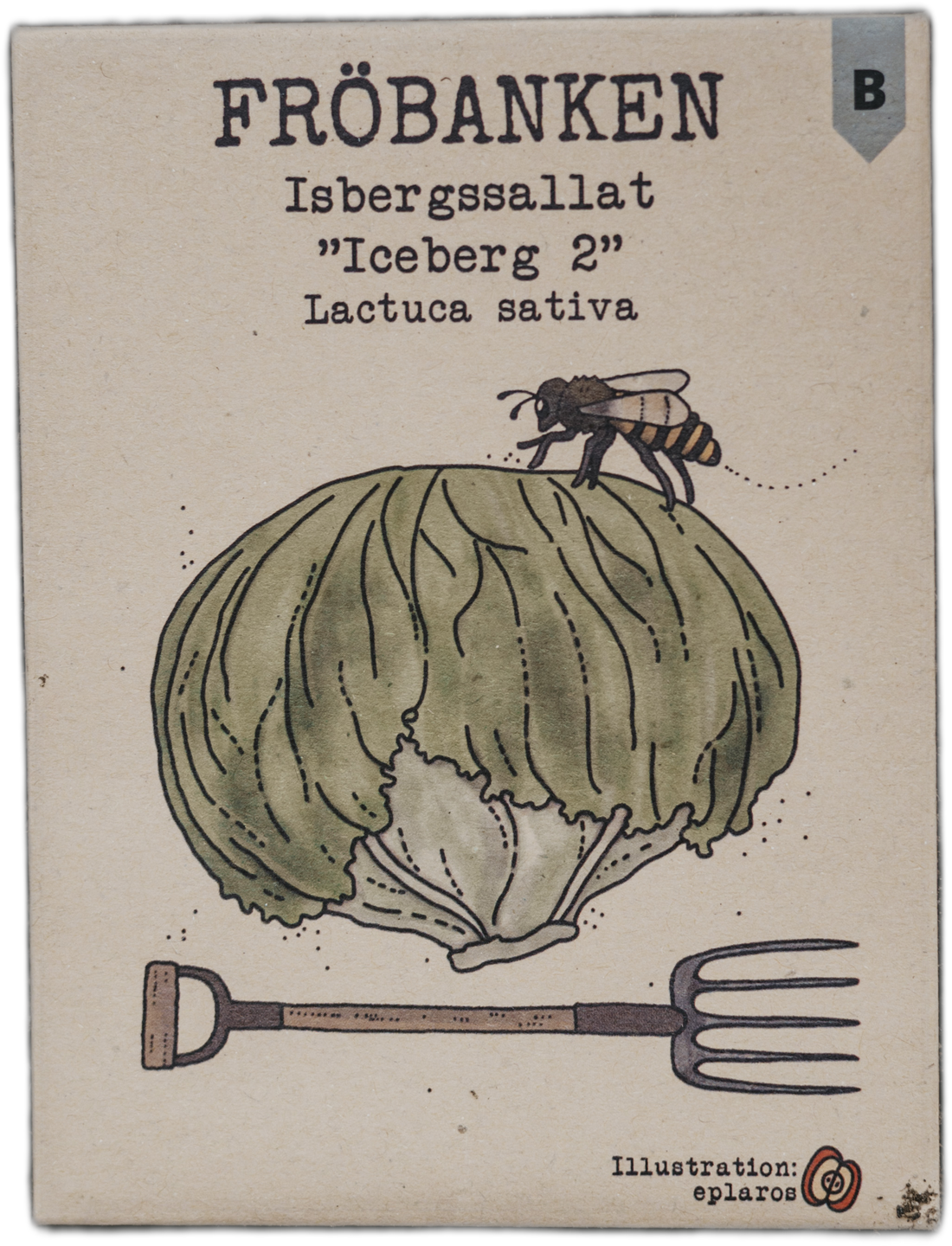 Isbergssallat