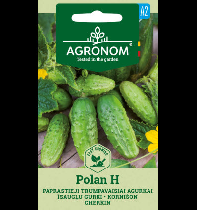 Gherkin Polan H