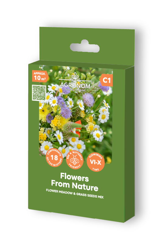 Blomsteräng och Vildgräs Frömix - Blommor från naturen