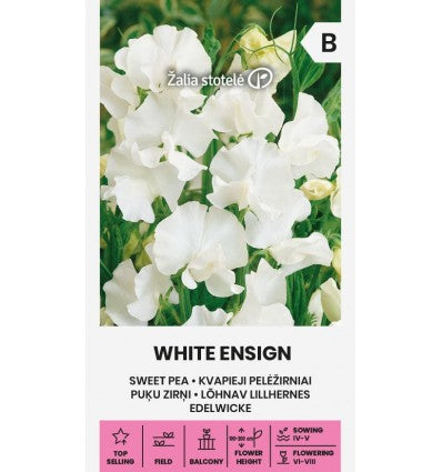 Sweet Pea White Ensign