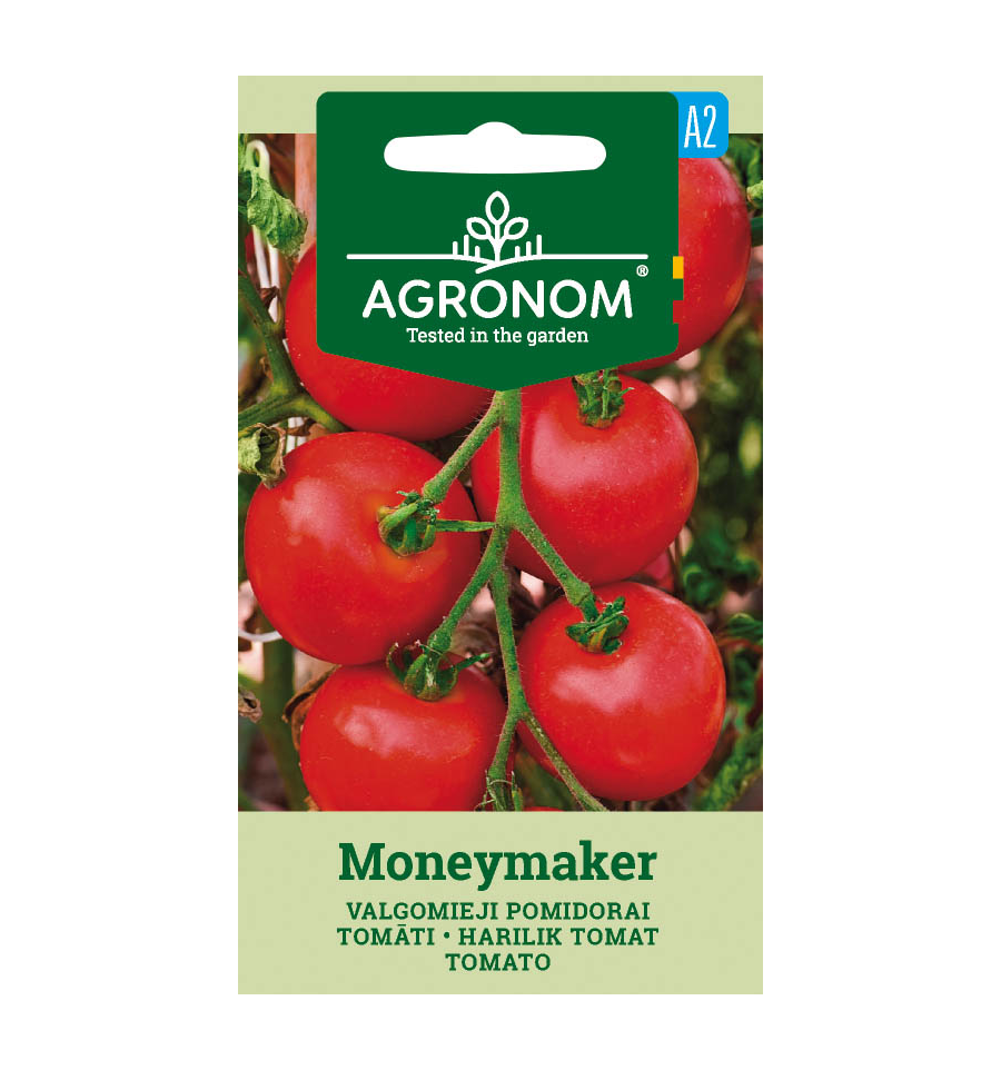 Tomato Moneymaker