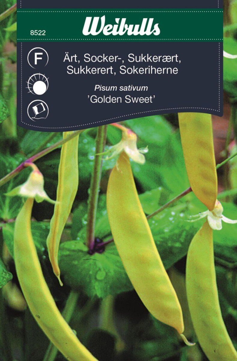 Ärt,socker Pisum sativum