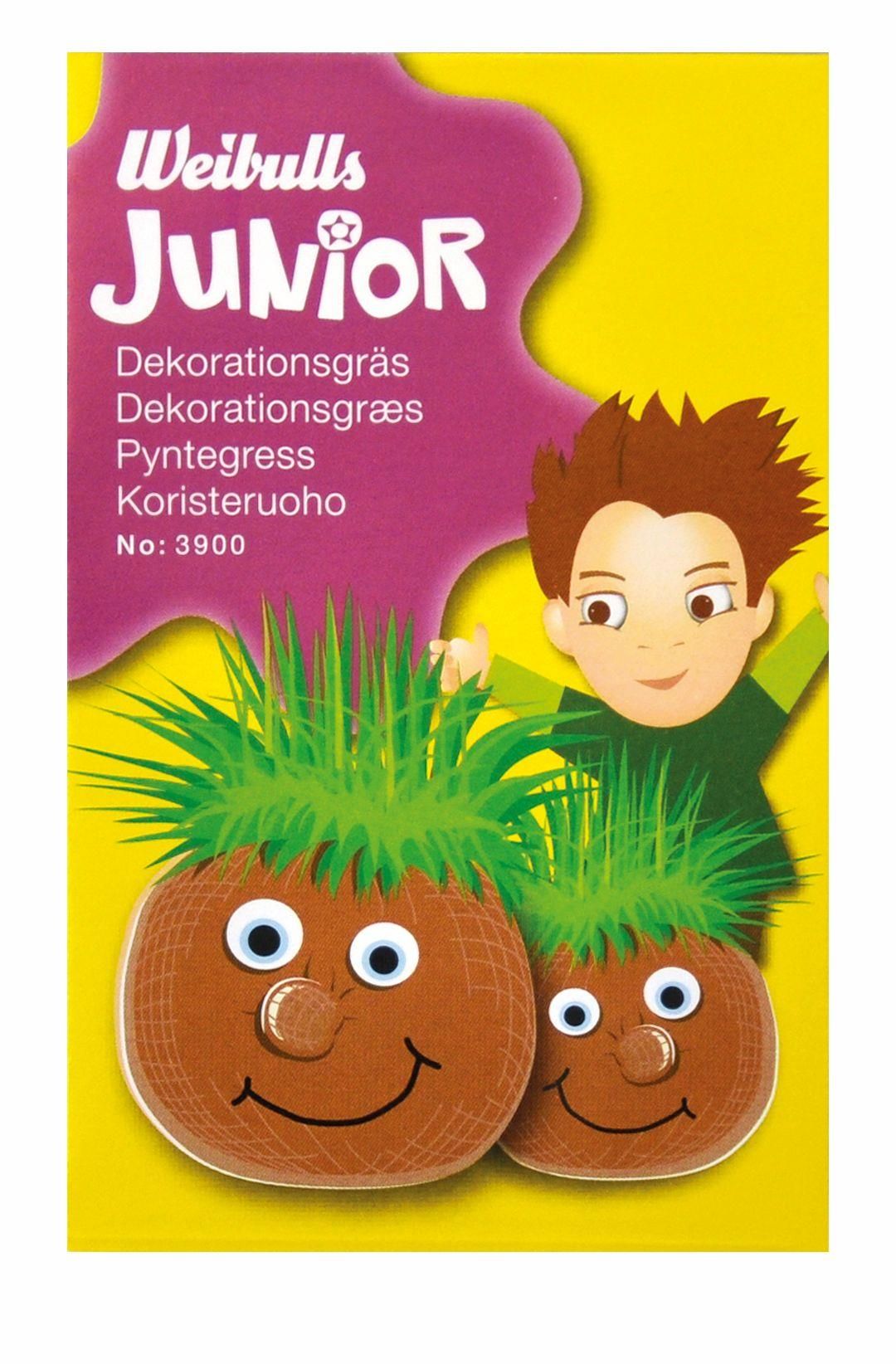 Junior dekorationsgräs