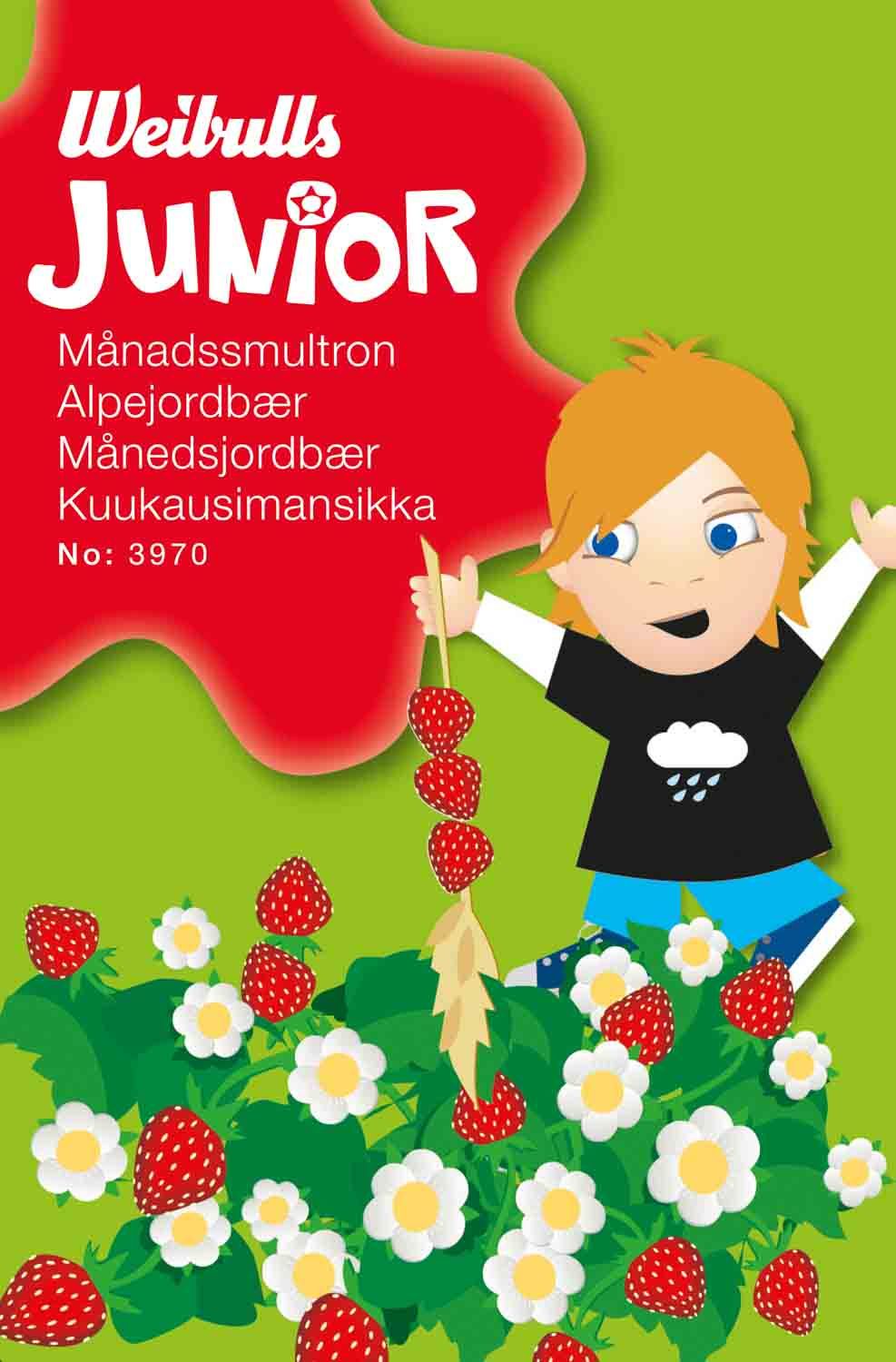 Junior månadssmultron