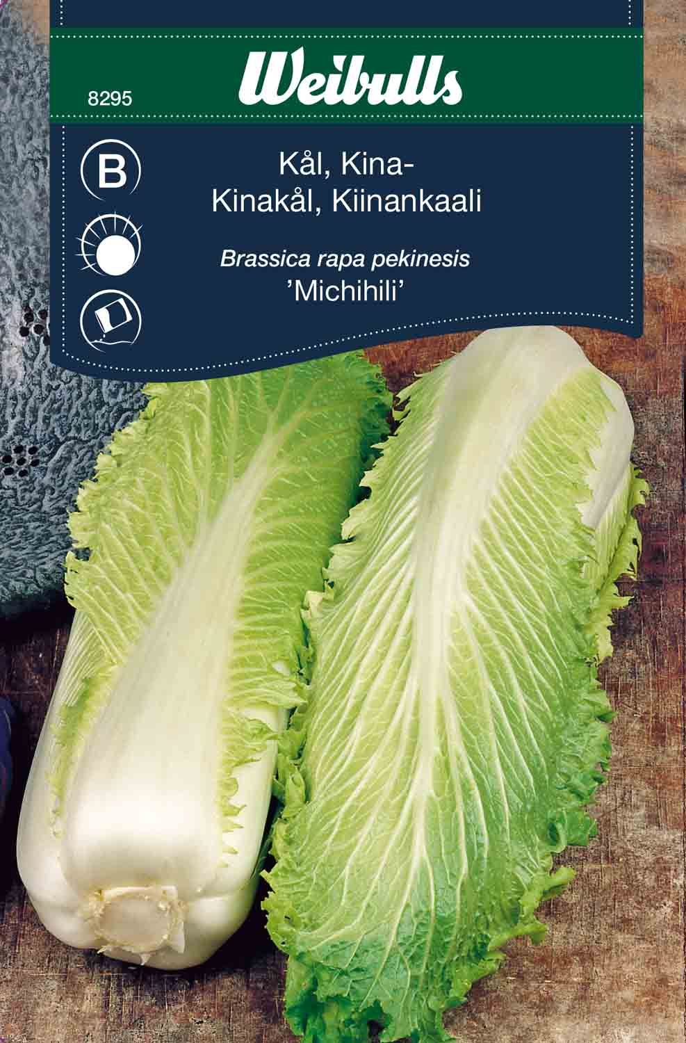 Kål, kinakål Michili Brassica rapa pekinesis