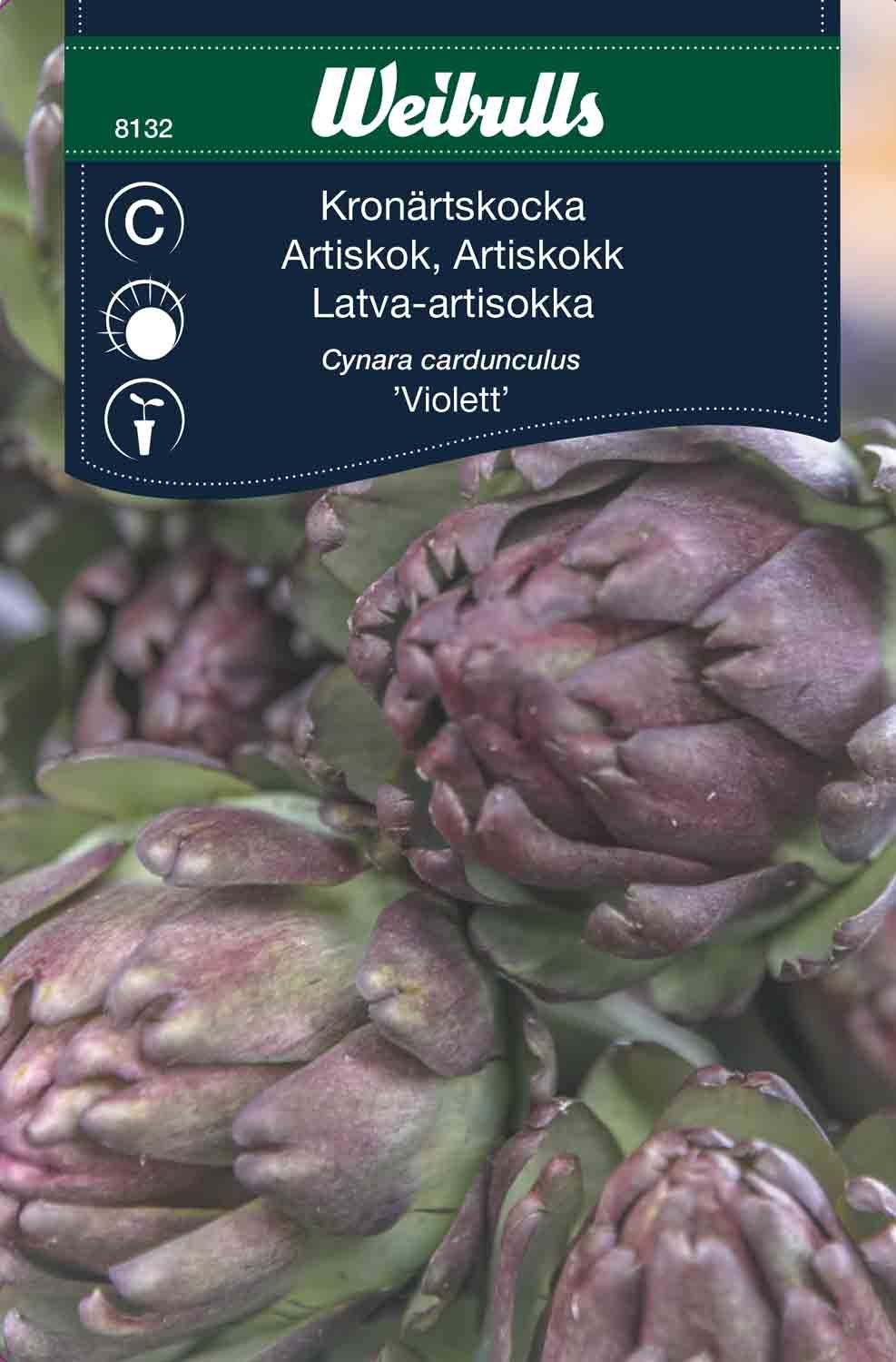 Kronärtskocka Violet de Provence