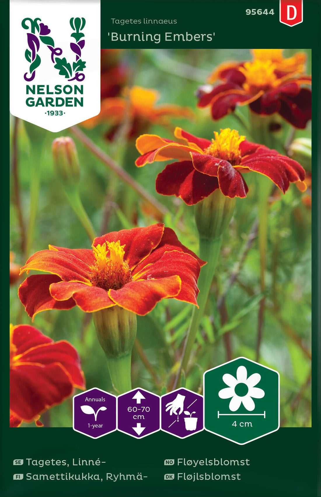 Linnétagetes