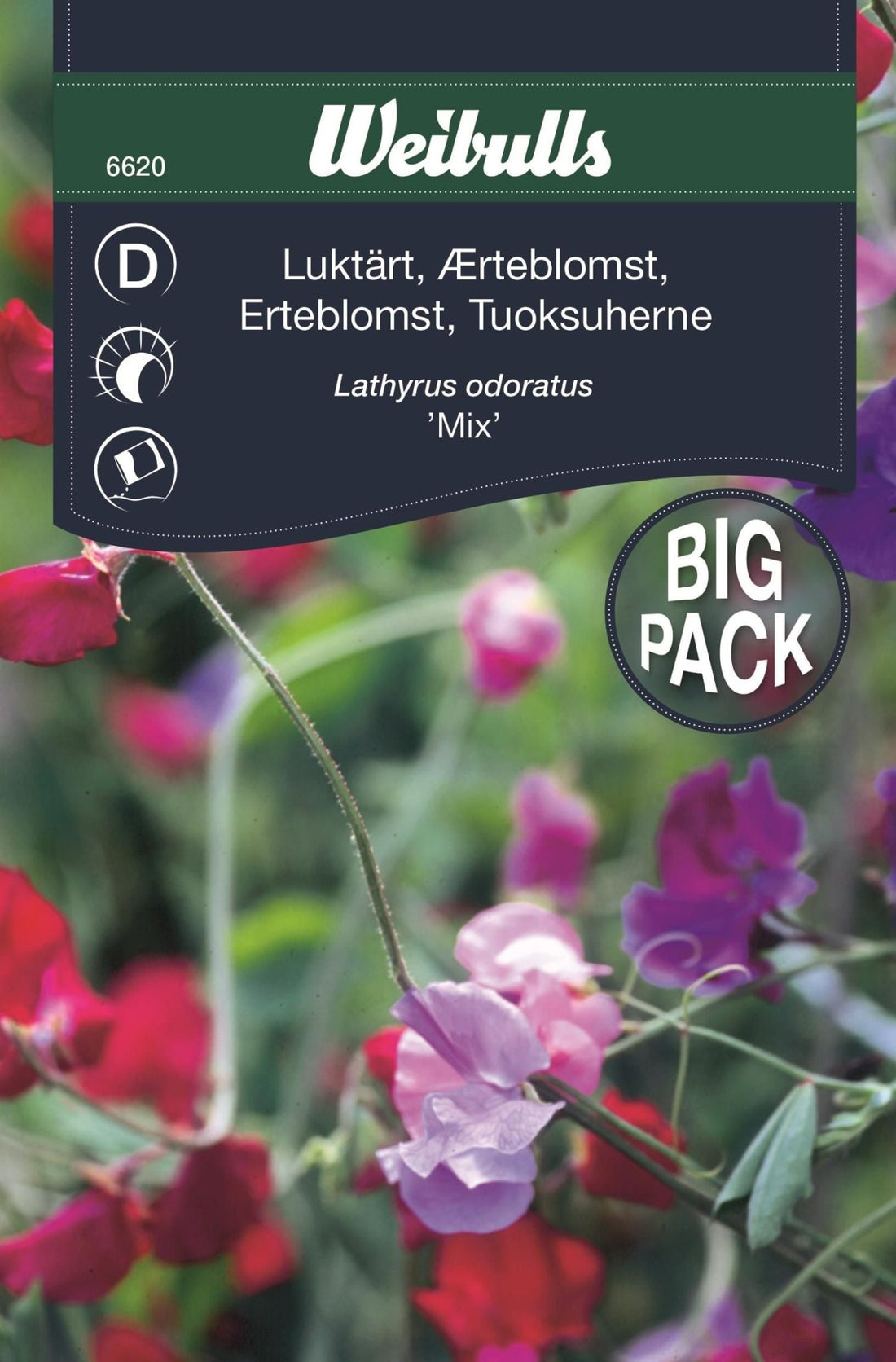 Luktärt bland storport