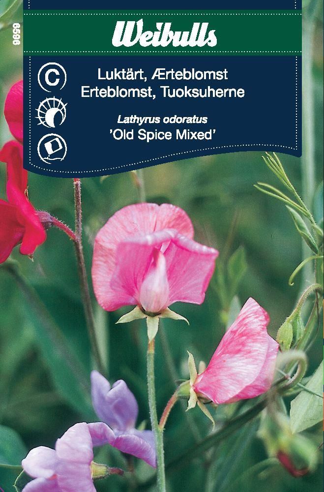 Luktärt Old spice mix