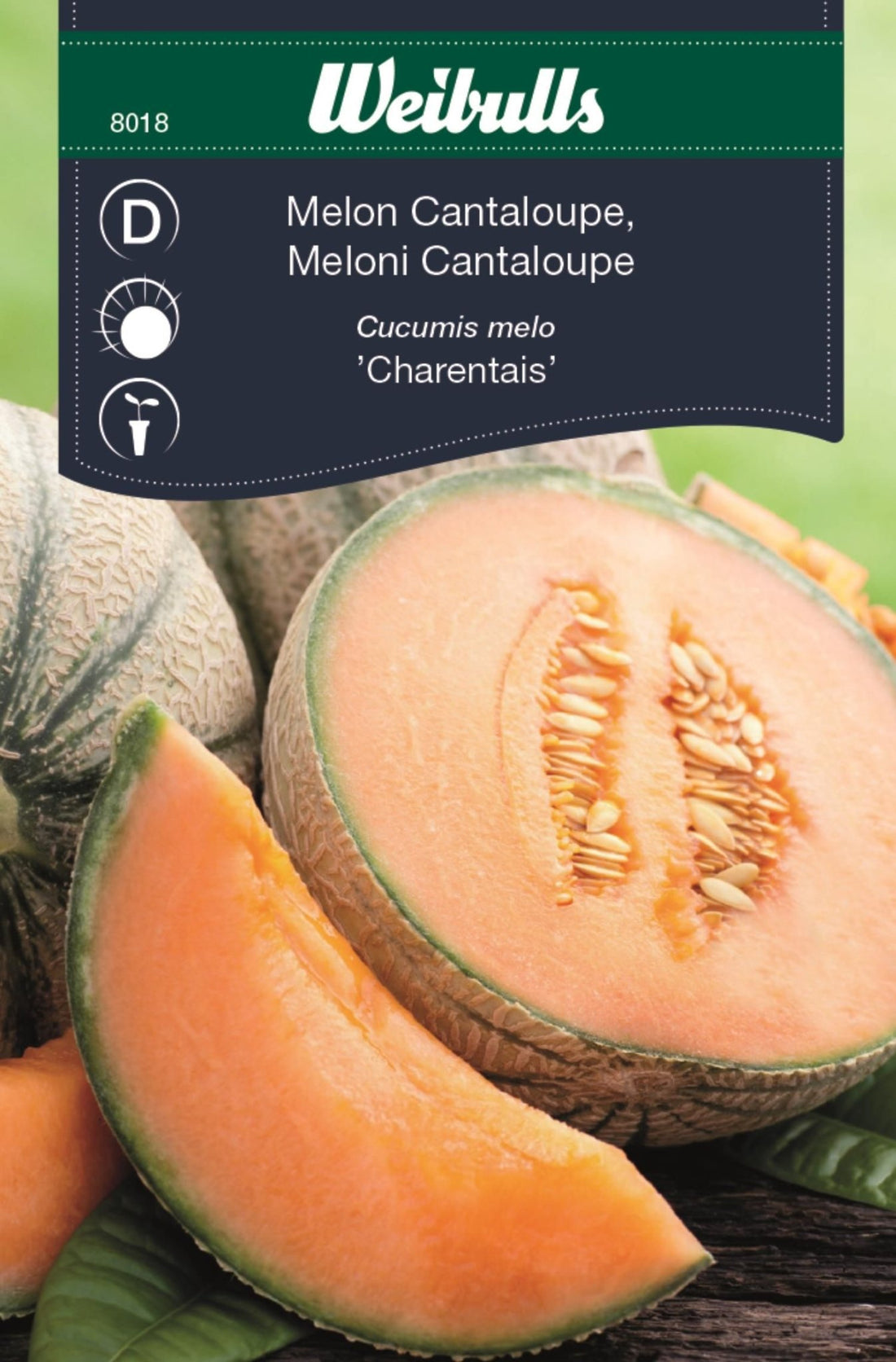 Melon, Cantaloupe
