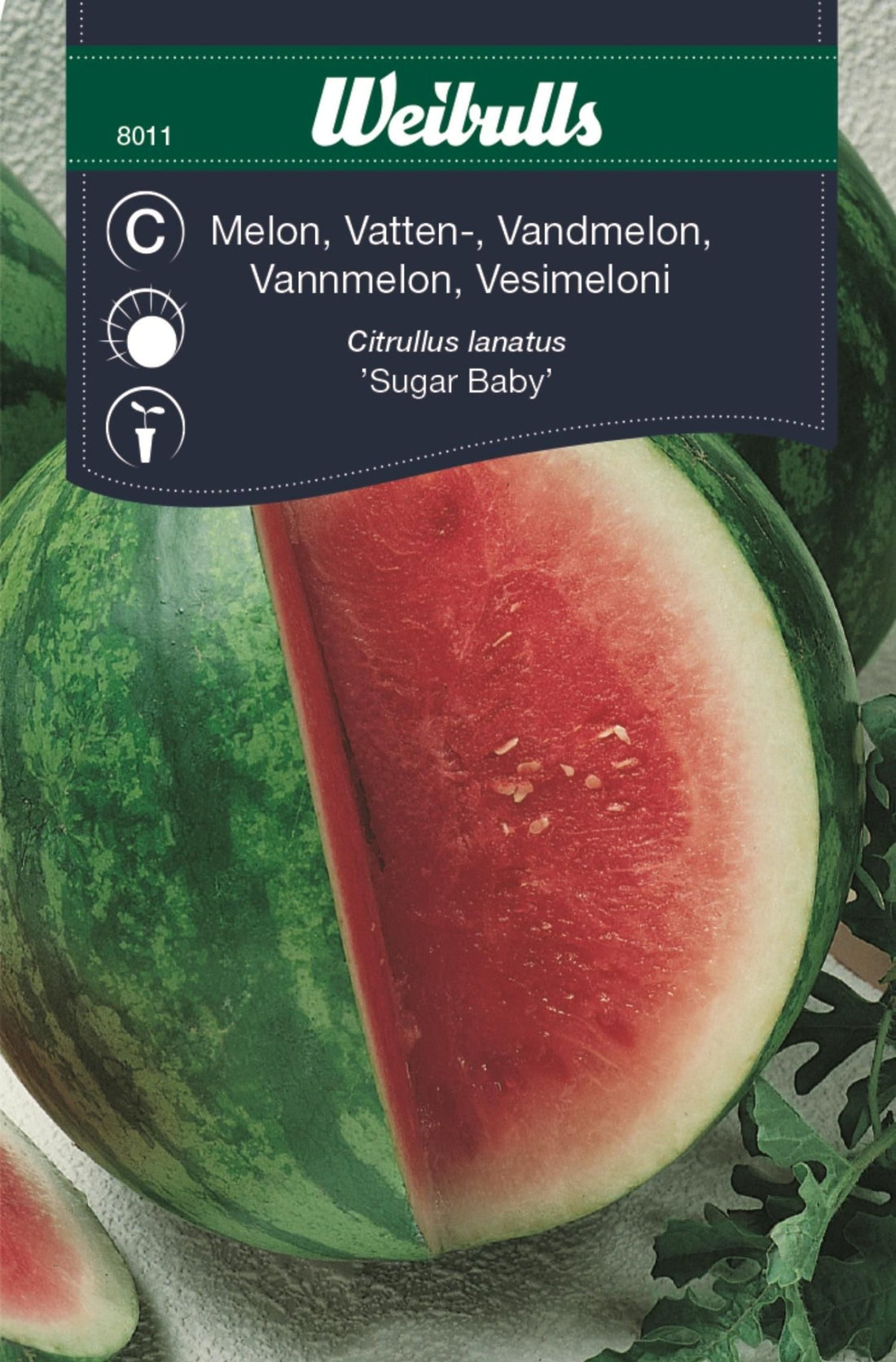 Melon, vattenmelon