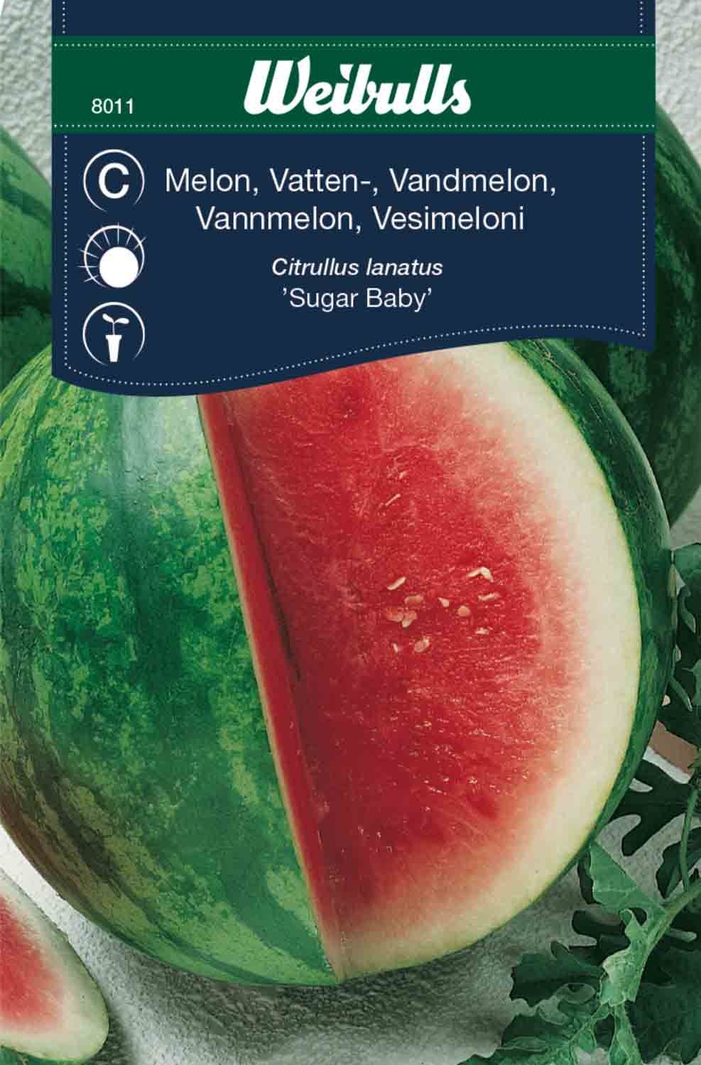 Melon, vattenmelon