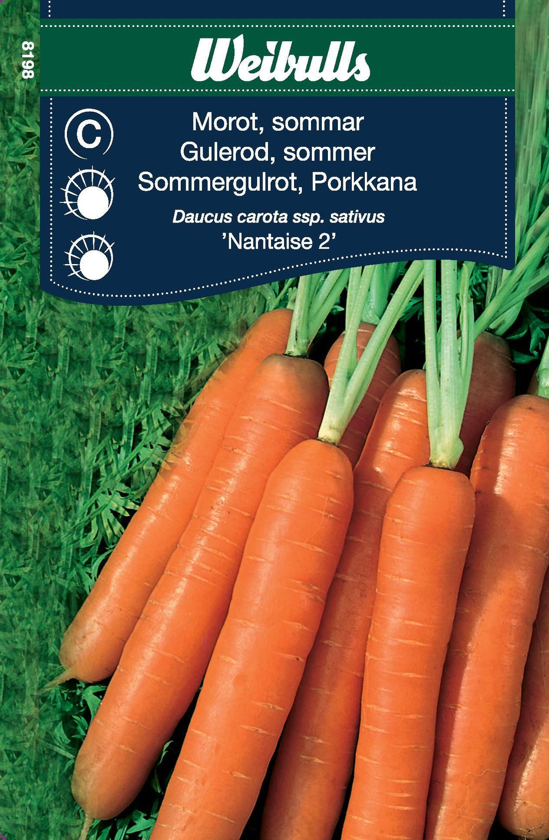 Morot sommar
