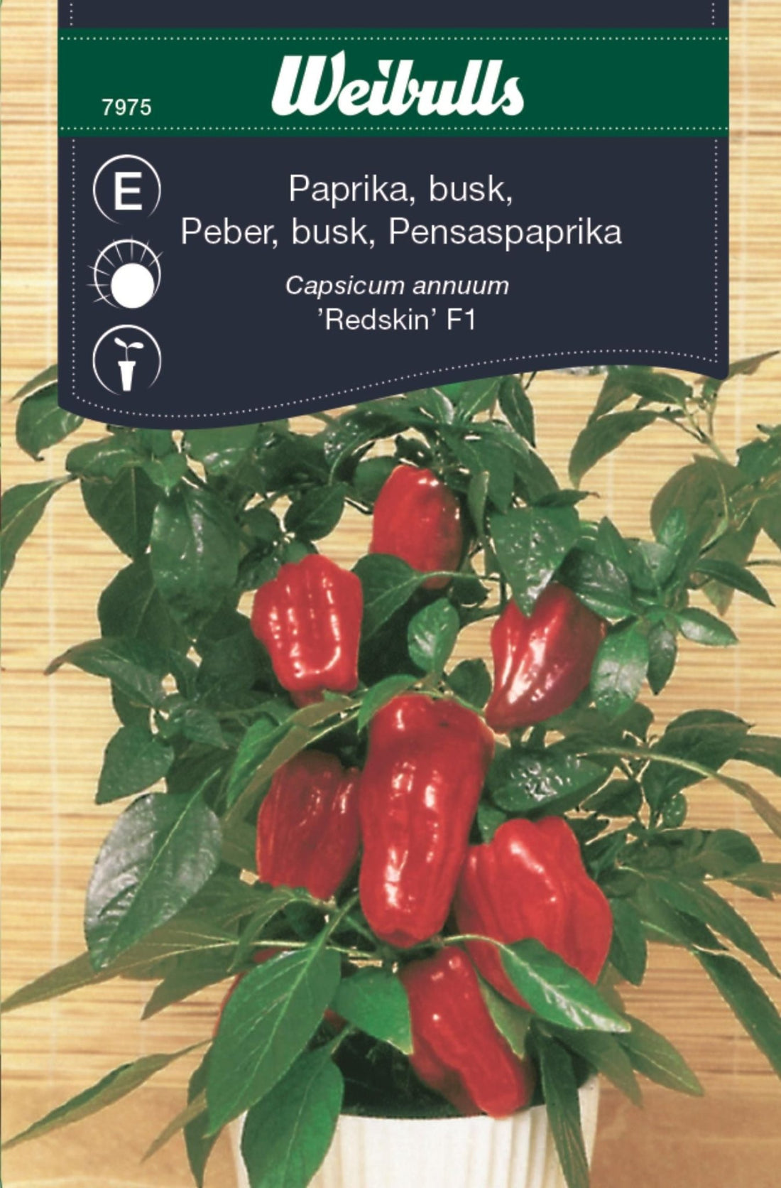 Paprika busk