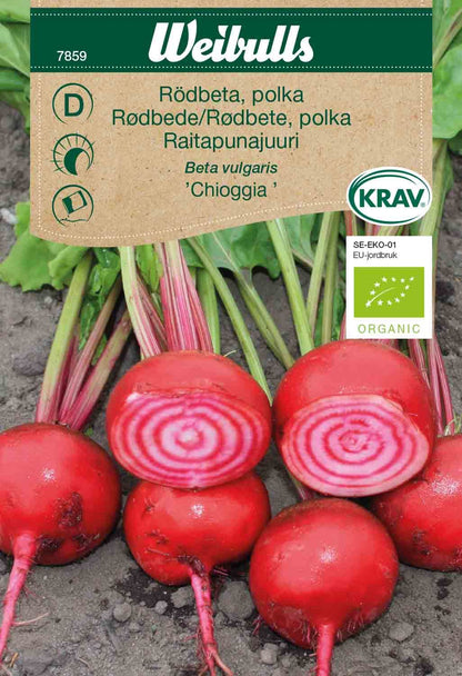 Rödbeta, Polka KRAV