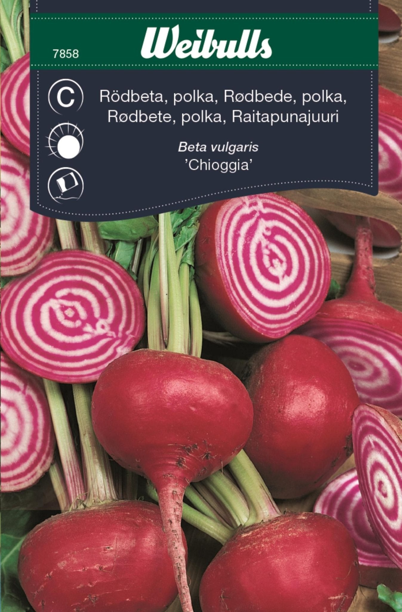 Rödbeta Polkabet