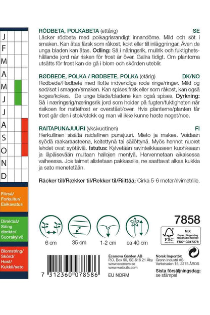 Rödbeta Polkabet